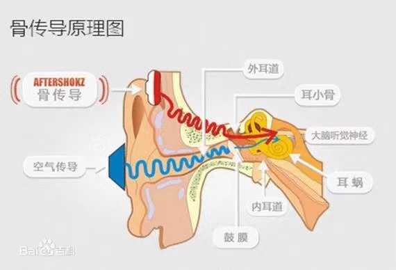 骨 傳 導 耳 機 與 普 通 耳 機 的  區 別