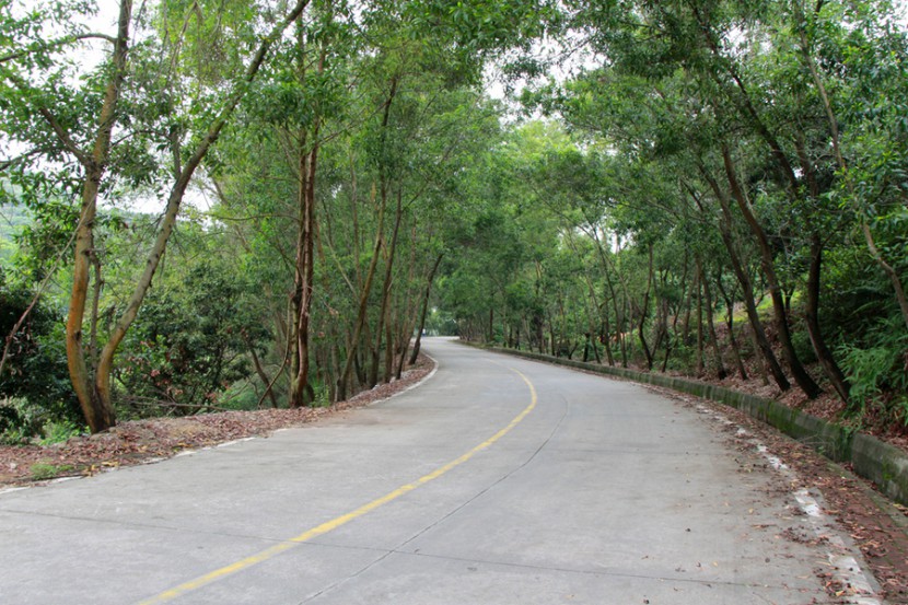 大嶺山森林公園