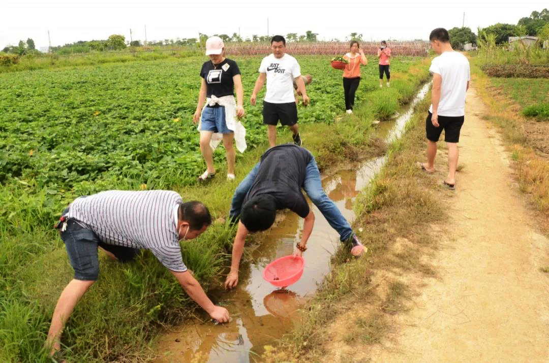 銘森農家樂歡樂之旅.jpg